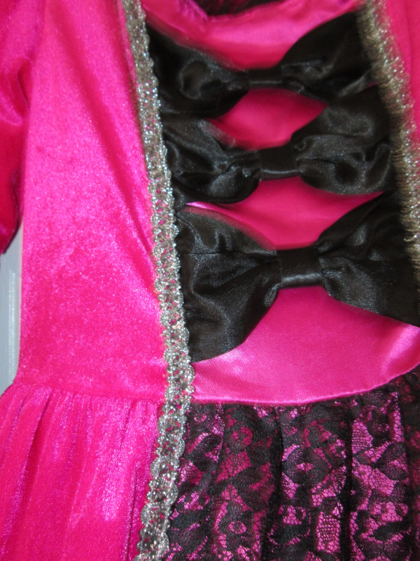 Gorgeous Ladies Roomy Size 4/6 Princess/Queen Costume in Costumes in Markham / York Region - Image 2