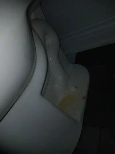 Night cleaner 5 days a week, View more