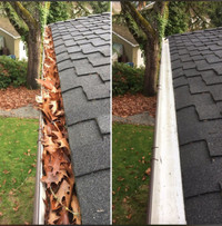 Gutter cleaning, and Roof cleaning 