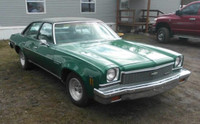 Looking for 1973 Chevrolet Malibu Chevelle parts