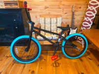 GT BMX Bike