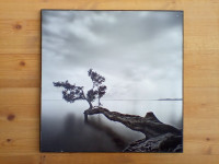 Branch of Life Print Wall Art Picture