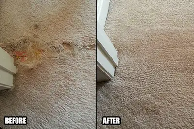 Best Carpet Repair and Installation Services , View more