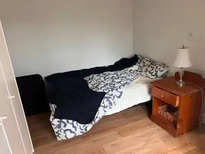 Please read the entire ad before applying. Hello, my boyfriend and I are looking for a cat-loving ro...