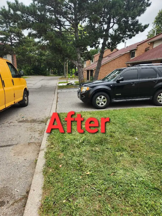 Junk Removal Services Call 533010492896716807