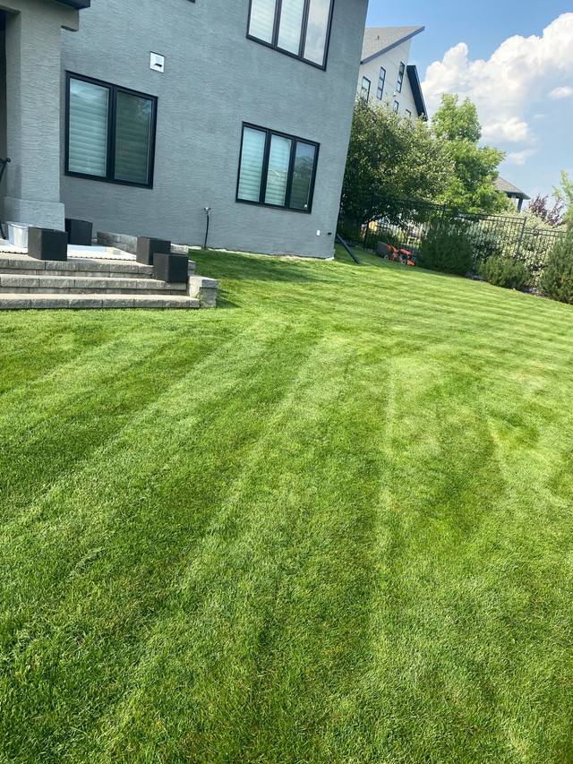 $20 Lawn Mowing / $60 eavestrough cleaning anywhere in Saskatoon in Snow Removal & Property Maintenance in Saskatoon - Image 3