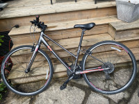 Liv Bicycle Alight XS