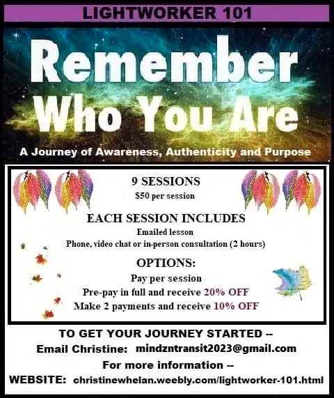 Lightworker 101:  Journey of Awareness, Authenticity and Purpose63860086017283120