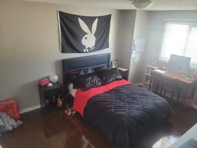 Photo 4