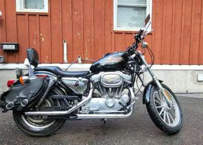 2000 HD XL883/XLH HD bags included 2inch drag pipes Stock pipes Comes with bike cover