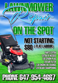Lawnmower rep air on the spot ( mobile ) ( house calls ) 