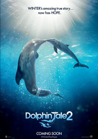 DVD Movie Set Dolphin Tale