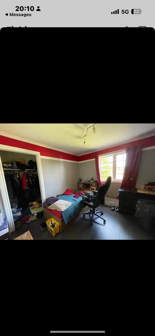 Various Tasks / Handyman