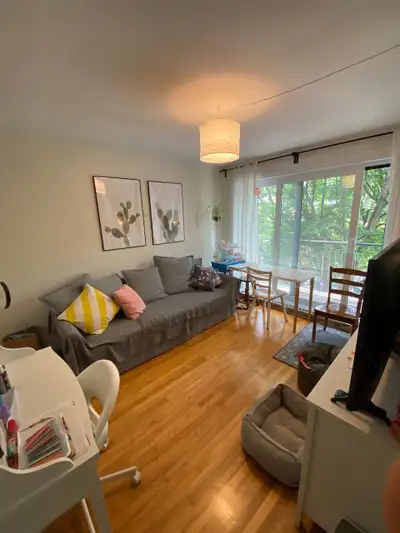 Lovely/Bel  3.5 flat (1 cac/1bedroom) in Plateau-Mont-Royal
