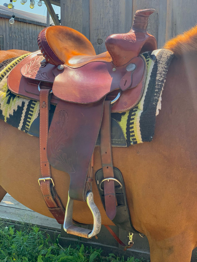 Dekota roping saddle in Equestrian & Livestock Accessories in Oshawa / Durham Region - Image 2