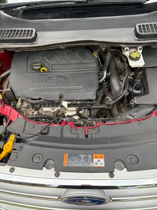 2017 Ford Escape509452431173232645