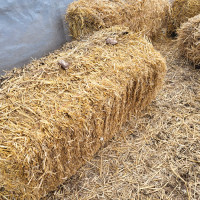 Garden bales