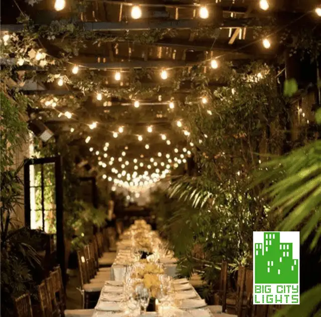 Outdoor String Lights Weatherproof with Vintage LED Edsion Bulbs in Outdoor Lighting in Vancouver - Image 3