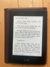 Kindle 5th Paperwhite 1