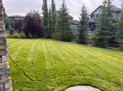 Lawn Care and Landscaping Services 