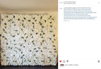 Royal White Flower Wall/Backdrop for rent