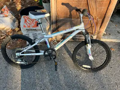 Kijiji used bicycles hotsell
