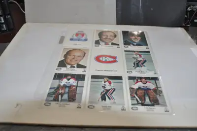 1984-85 P.L.A.Y. Kingston Canadians (OHL) junior hockey team se, View more