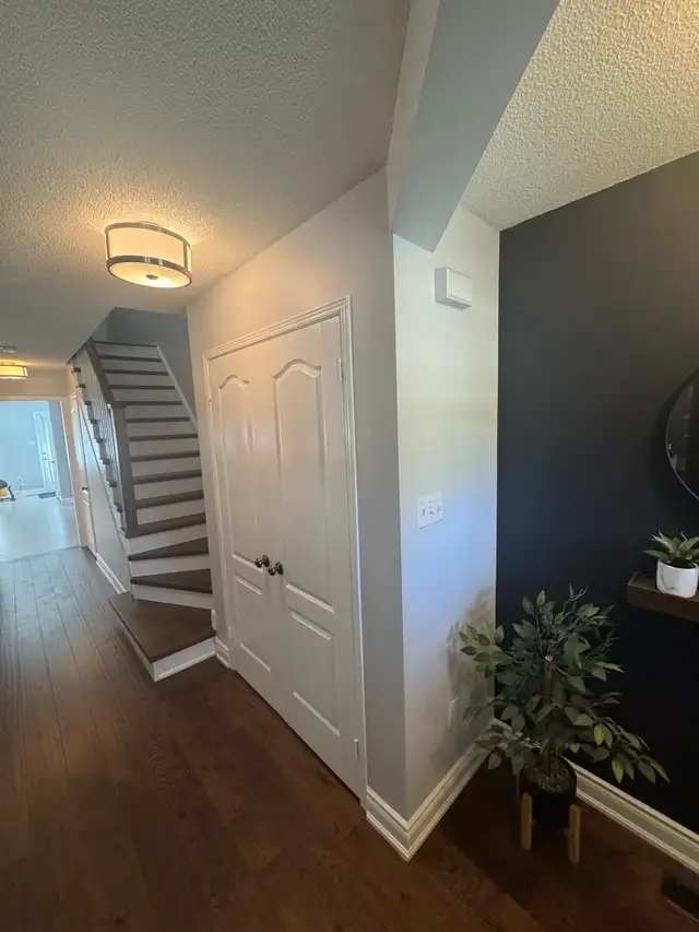 Professional Painting Services605486214409758721