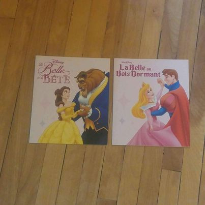 6 livres: DISNEY: LA BELLE ET LE CLOCHARD. Etc. in Children & Young Adult in Gatineau - Image 4