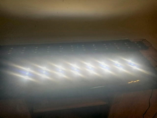 Marineland 36"Led Aquarium light in Accessories in Cowichan Valley / Duncan - Image 2