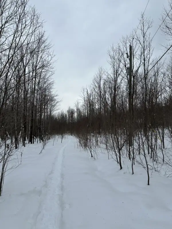 LOTS FOR SALE/TERRAINS À VENDRE - CHEMIN GILBERT, EASTMAN,  QC in Land for Sale in Sherbrooke - Image 17