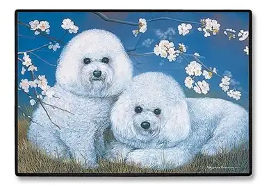 We have three doormats left - they are brand new, NEVER used. Just browsed at and admired at our les...