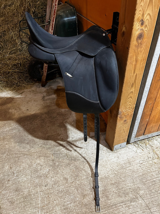 18” Wintec Isabell Bates Dressage Saddle in Equestrian & Livestock Accessories in Sudbury - Image 2
