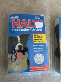 Dog halters, harnesses and coat
