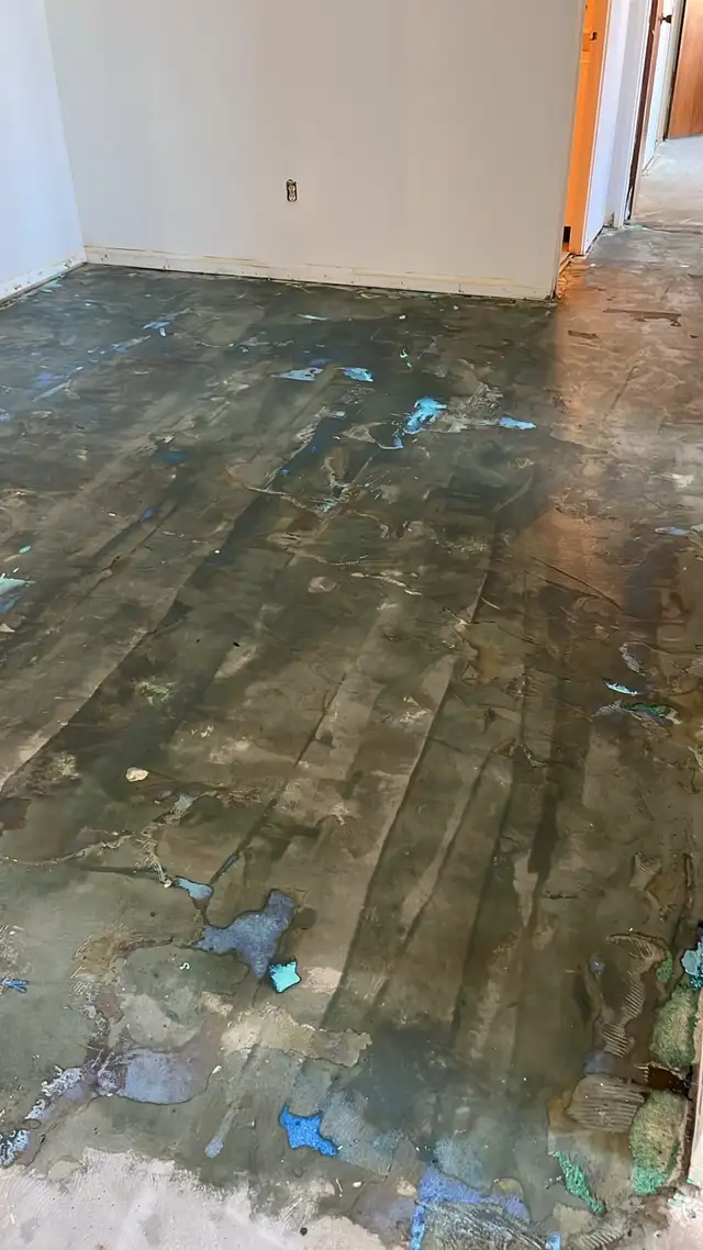 East Touch Contracting519423041565501446