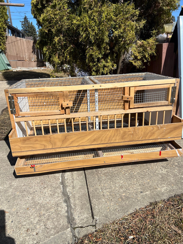 For sale cage for quails  in Animal & Pet Services in La Ronge