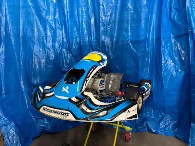 Hi everyone, I have a beautiful Birel Ricciardo go kart for sale. It has a very fast, tuned, Briggs...
