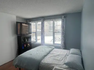 Please connect only serious enquires Basement for Rent – Elgin St N, Cambridge **Available April 1st...