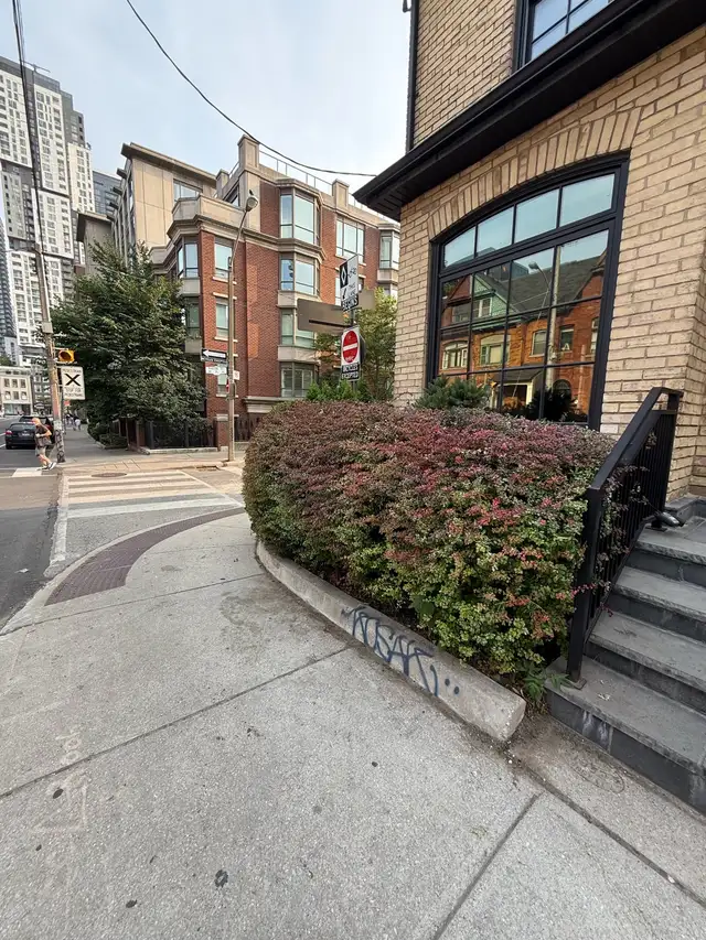 Landscaping & Lawn Care Services | Yard Cleanup & Grass Cutting in Lawn, Tree Maintenance & Eavestrough in City of Toronto - Image 6