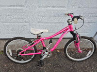 Kids Specialized Pink 20inch bicycle