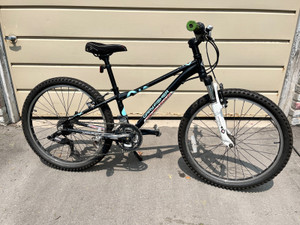 大人気商品 GARYFISHER PIRANHA 26インチフレームセット