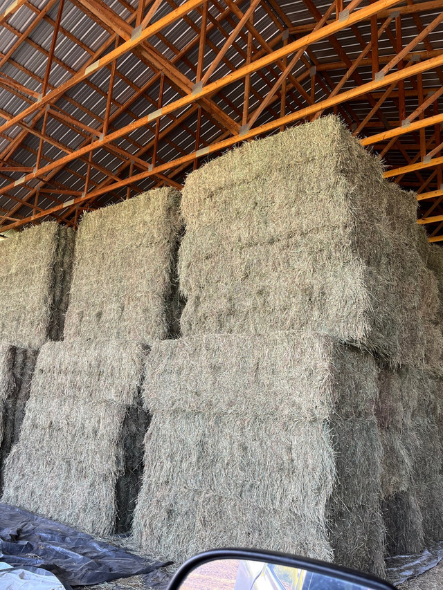 Timothy hay for sale Livestock Calgary Kijiji