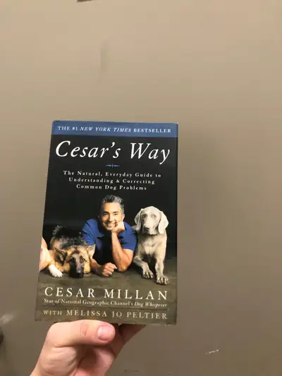 Cesar's Way: Guide to Understanding & Corre, View more