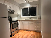 Fresh + Newly Renovated 2 BdRm Apartment Close to ALL Amenities