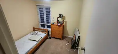 room for rent in Ottawa near south keys station