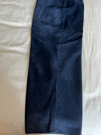 Authentic Danier blue lined leather pants (like new)