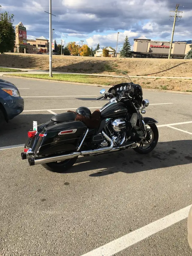 Harley Davidson Motorcycle in Touring in Kamloops - Image 5