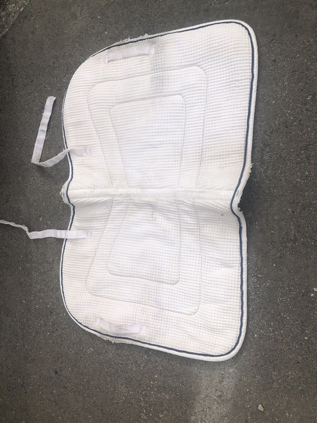 Saddle pads for sale in Equestrian & Livestock Accessories in Penticton - Image 3