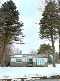 HOUSE FOR RENT IN NEWMARKET'S LESLIE VALLEY!