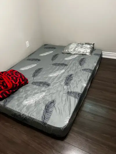 A private room is available in a 3 bedroom basement for 6 months from 1st September. The other house...